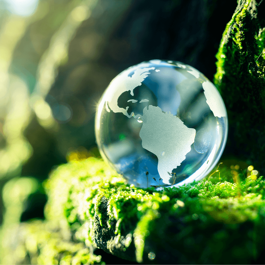 Social Values Page Main Image (1)